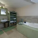 Poolside Grand Retreat * Vosteni