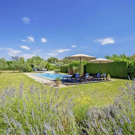Poolside Grand Retreat Vošteni
